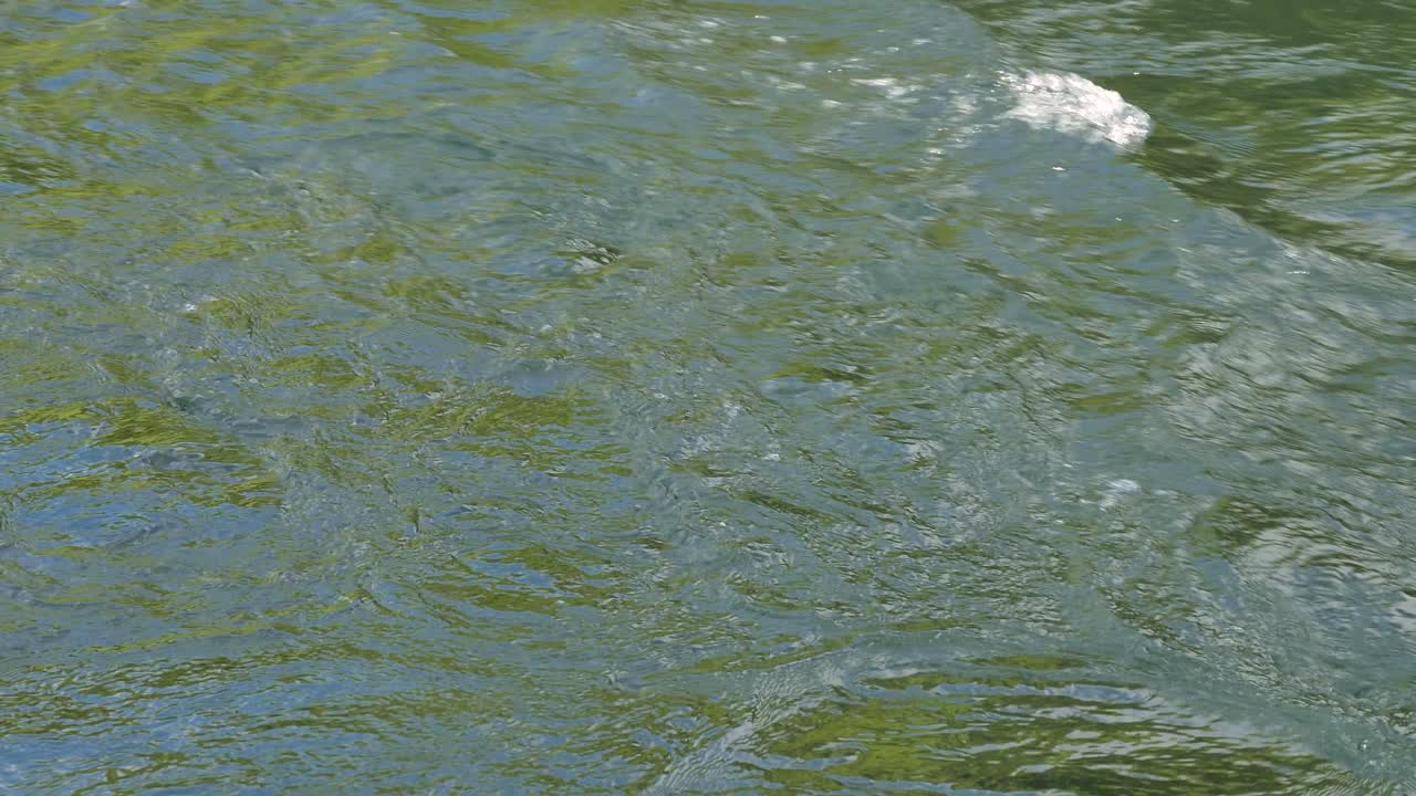 Close view of the turbulent waters of the Tumut River in Tumut in the Snowy Mountain Region of Australia, New South Wales.