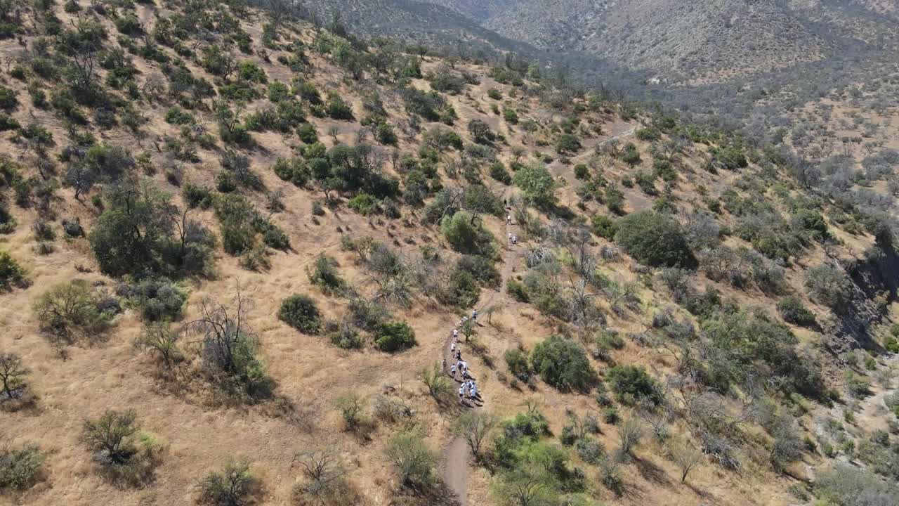 Diverse group of hikers navigating challenging mountain trail, surrounded by scenic wilderness and rocky terrain during sunny summer day