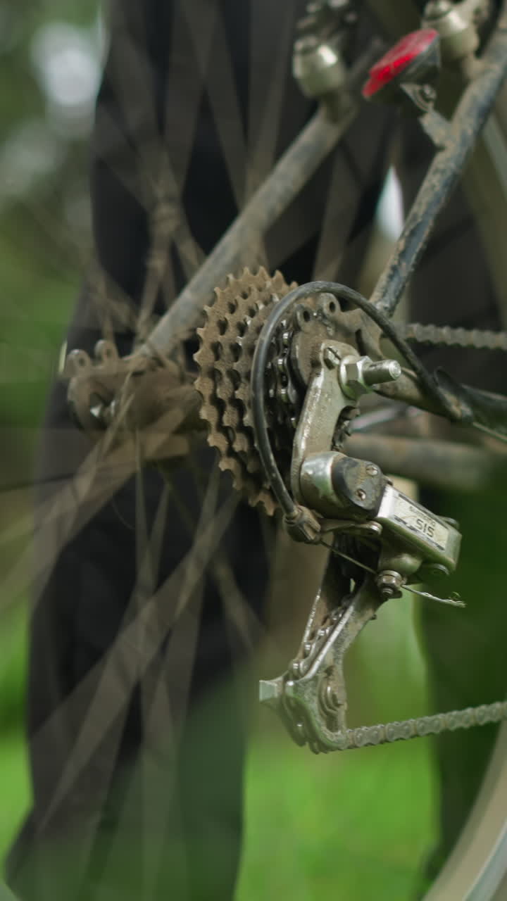 primer plano de una persona de pie junto a una bicicleta estacionada en un campo cubierto de hierba, la persona levanta ligeramente el neumático trasero y pedalea brevemente, haciendo que el neumático gire, con un fondo borroso
