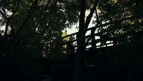 people walking on a bridge in a forest