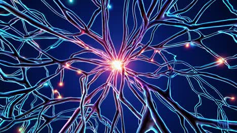Neural Network Illustration