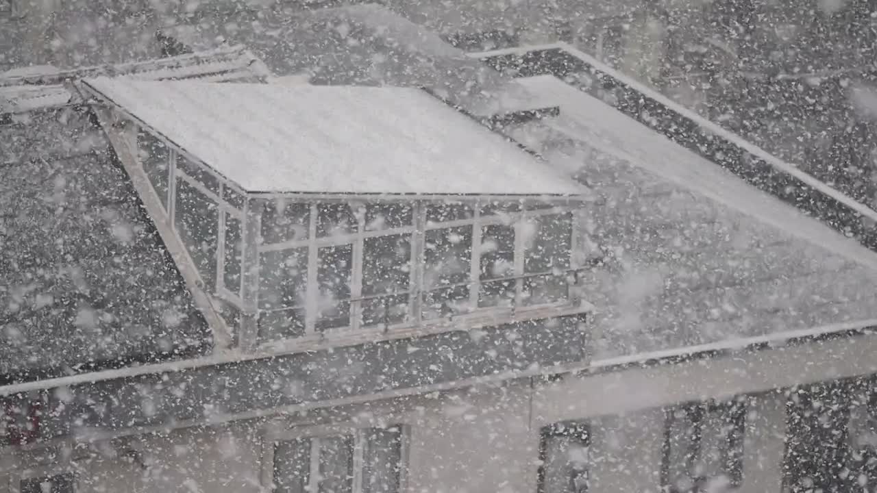 Snowy Rooftop