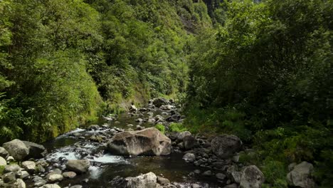 travelling along a river at the bottom of a ravine in the reunion island