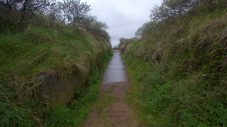 Inquadratura ampia di una vecchia strada militare in cemento che sale verso la spiaggia a Theddlethorpe, Dune, Riserva Naturale Nazionale di Saltfleetby.