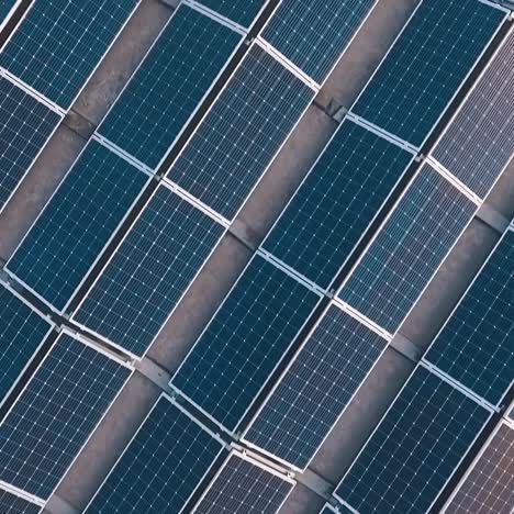 flying over the solar farm with sunny reflection on panels. photovoltaic solar panels attached to the ground. new source of energy. top view.
