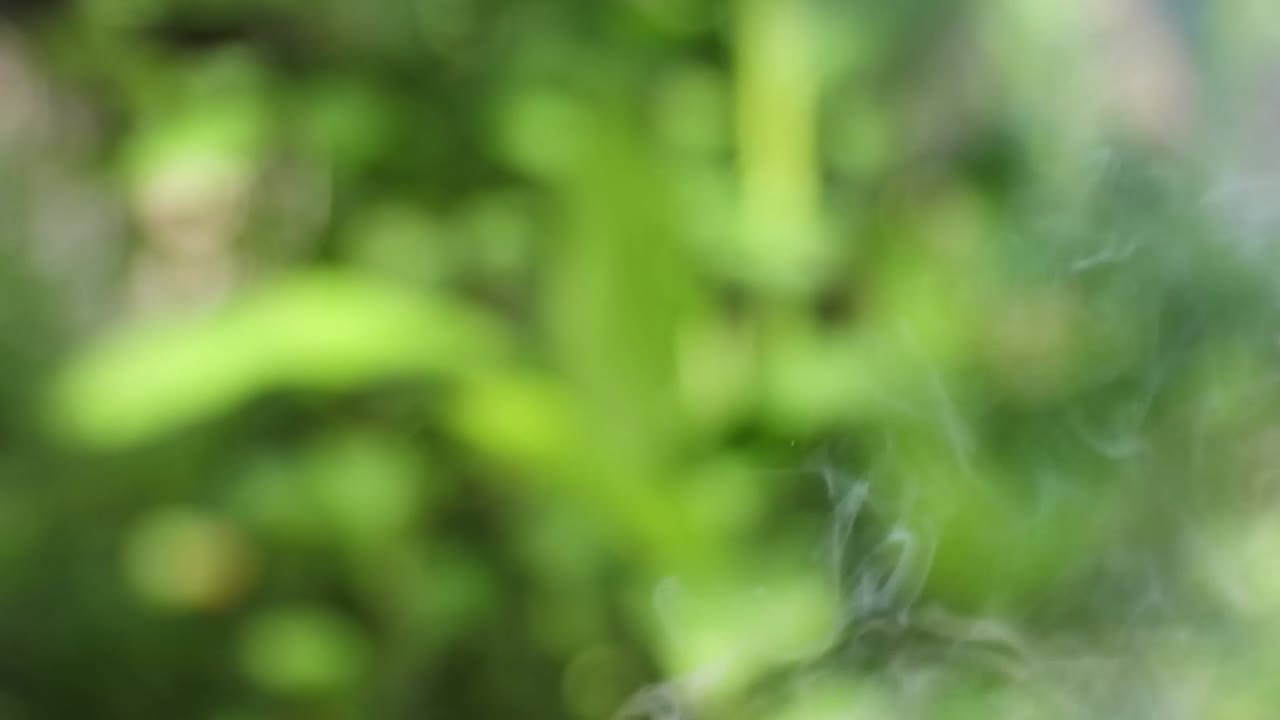 residuos quemando humo