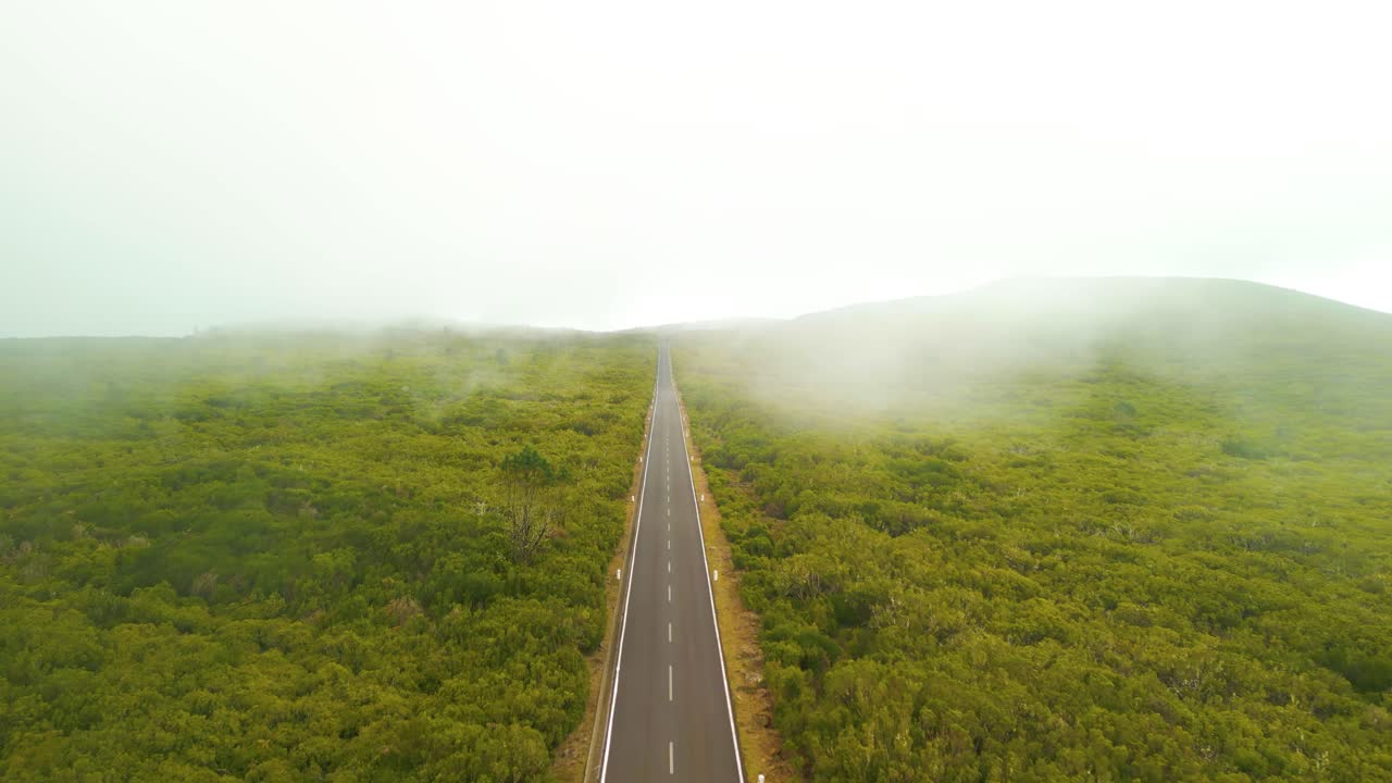 Road Between Dense Forest Woods On A Foggy Day In Madeira, Portugal - Drone Shot