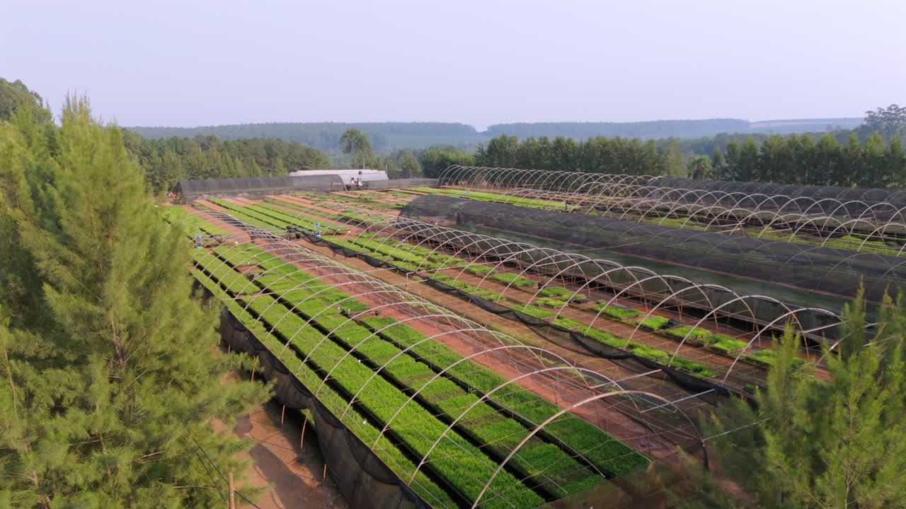 Greenhouse farm drone panoramic reveal, sustainable agriculture