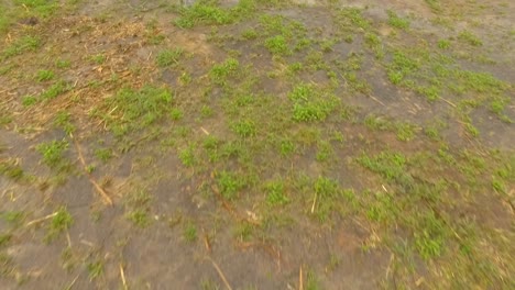 Indigenous-hut-in-Mayupa,-Canaima,-Venezuela,-during-a-rainy-day