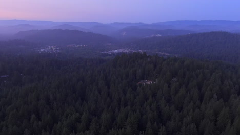 Atmosphärische-Landschaft-Mit-Dichtem-Dickicht-Im-Henry-Cowell-Redwoods-State-Park-In-Der-Nähe-Von-Santa-Cruz-In-Felton,-Kalifornien,-USA