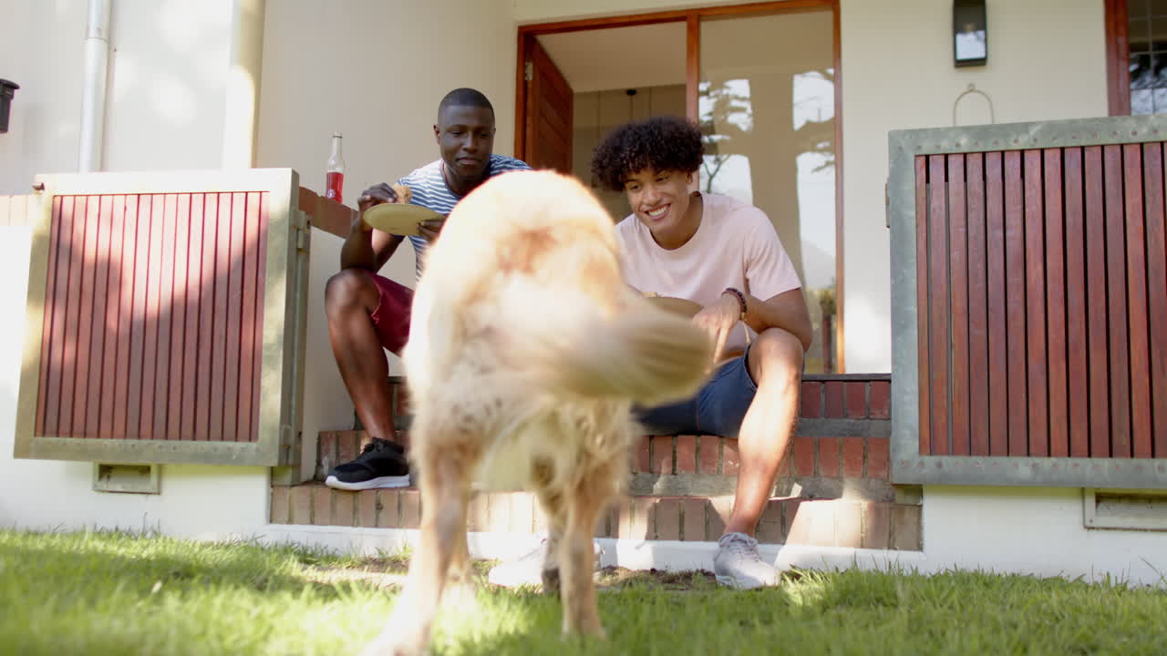 Eating snacks, two multiracial male friends sitting on porch steps with dog playing in yard
