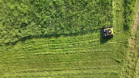 birdseye aerial view of robot lawn mower working in green field, remotely controlled machine in green grass