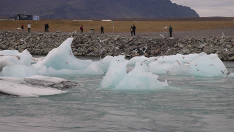 glacier lagoon in iceland with birds flying around