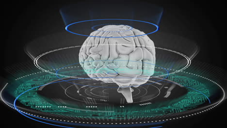 digital circuits and holographic rings surrounding brain, showcasing futuristic technology animation