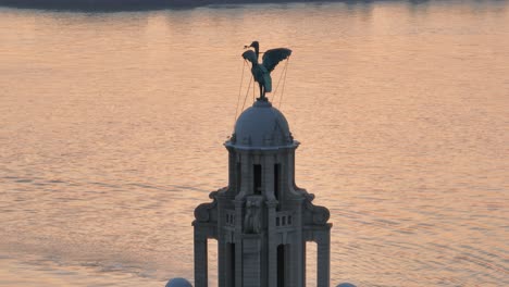 liver bird and mersey river