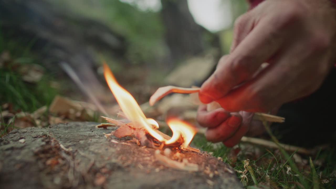 Close Up of Hands of Survivalist Feeding Fire Flame with Wood Shavings in Forest