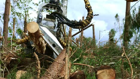 Special-equipment-for-logging.-Operating-head-of-farming-simulator-working-in-wood