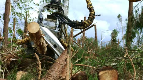 equipo especial para la tala. jefe operativo de simulador de agricultura que trabaja en madera