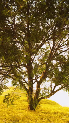 solitary tree in a golden meadow