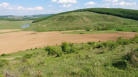 beautiful nature with forrest and a lot of green fields and yellow plain in romania