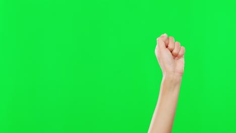 person, hands and fist in protest on green screen