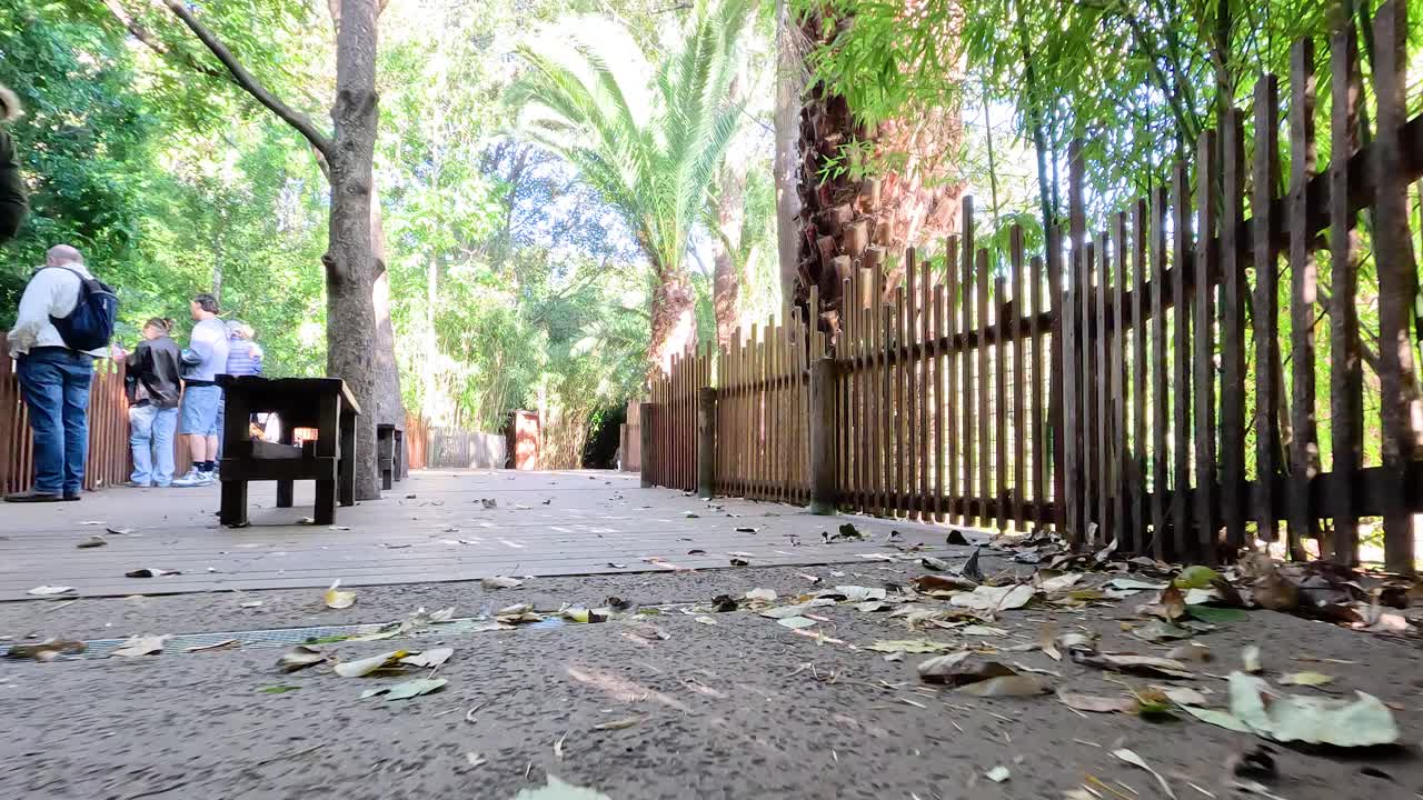 경치 좋은 동물원 길 을 따라 걸어가는 방문객 들