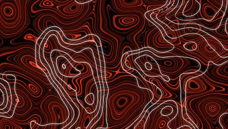 animación de líneas blancas del mapa sobre un fondo líquido rojo