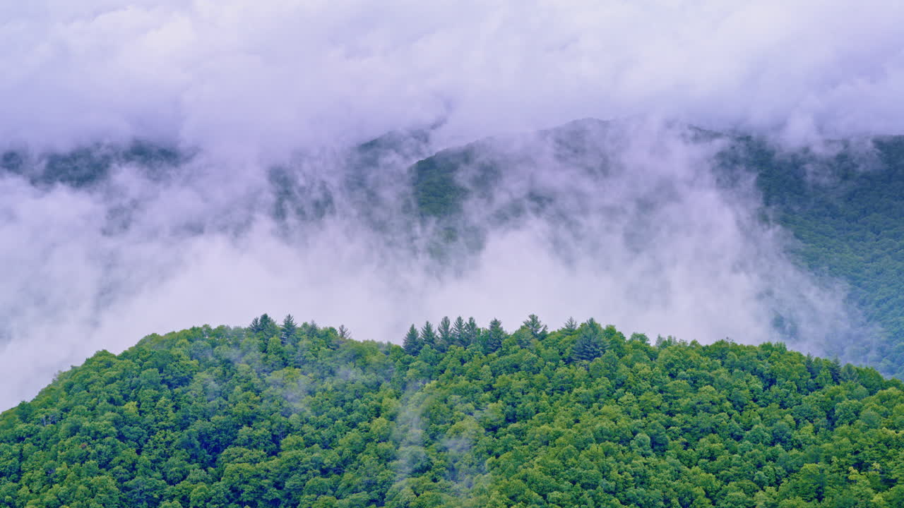 The Smokies emerge through a blanket of mist in this aerial view