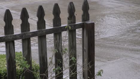 picket fence with rain down driveway