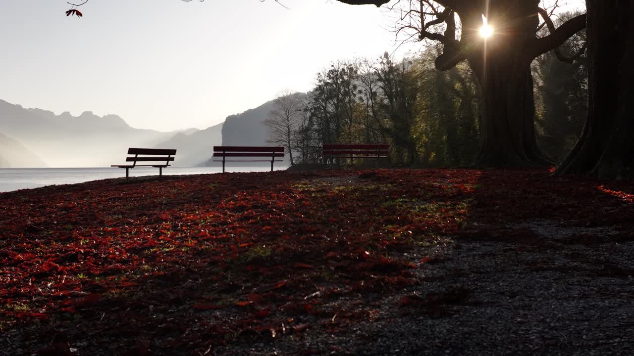 평화로운 가을 순간: 그림 같은 walensee 호수를 내려다보는 벤치의 조용한 장면, 가을 잎의 카에 여