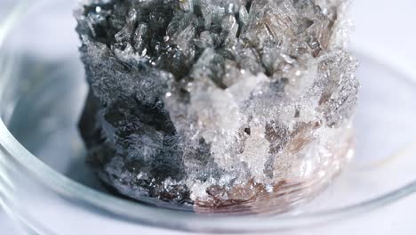 close-up view of crystals growing in a petri dish