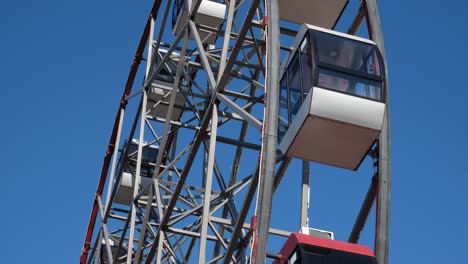 ferris wheel in an amusement park