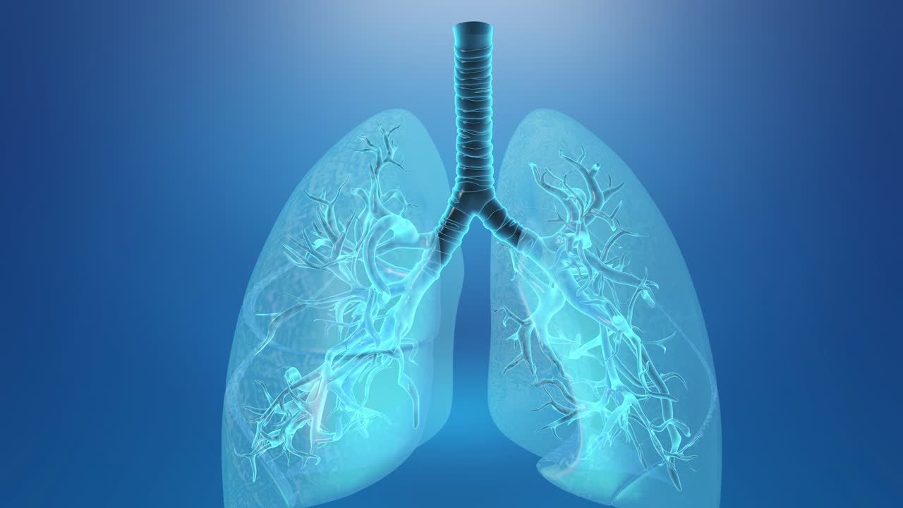 폐과 호흡기 의학적 배경
