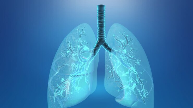 Lung with trachea medical background