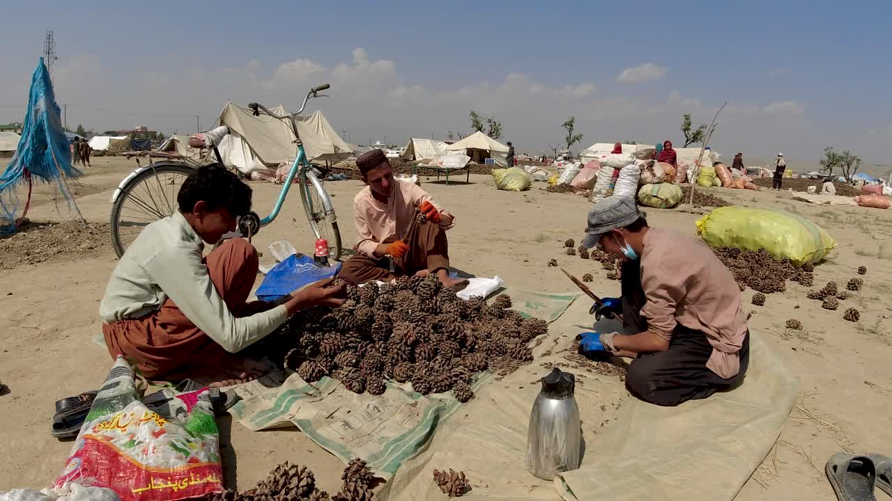 Extracting Pine Nuts from Clusters