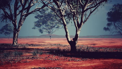 acacia triis en el paisaje africano