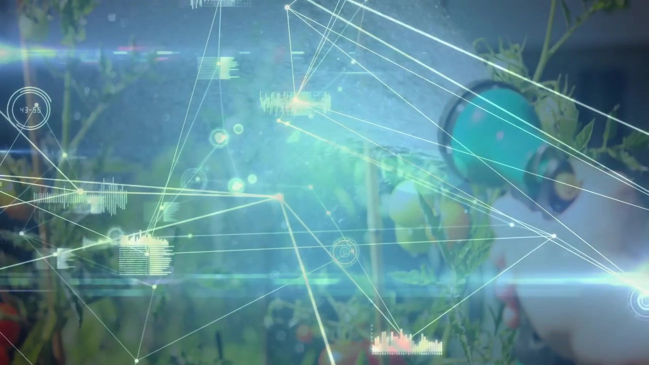Hand pressing green hose nozzle watering tomato plants as digital overlay tracking irrigation data