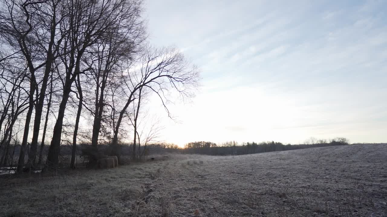 The edge of a cut soybean field in the early morning light. There is frost on the ground