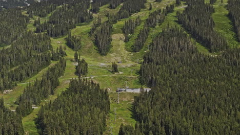 Whistler-Bc-Canada-Aerial-V11-Con-Zoom-Sobrevolando-Las-Pistas-De-Esquí-De-Blackcomb-Capturando-Prados-De-Montaña,-Elevaciones-Cuesta-Arriba,-Bosques-De-Coníferas-Y-Picos-De-Glaciares-En-Verano---Filmado-Con-Mavic-3-Pro-Cine---Julio-De-2023