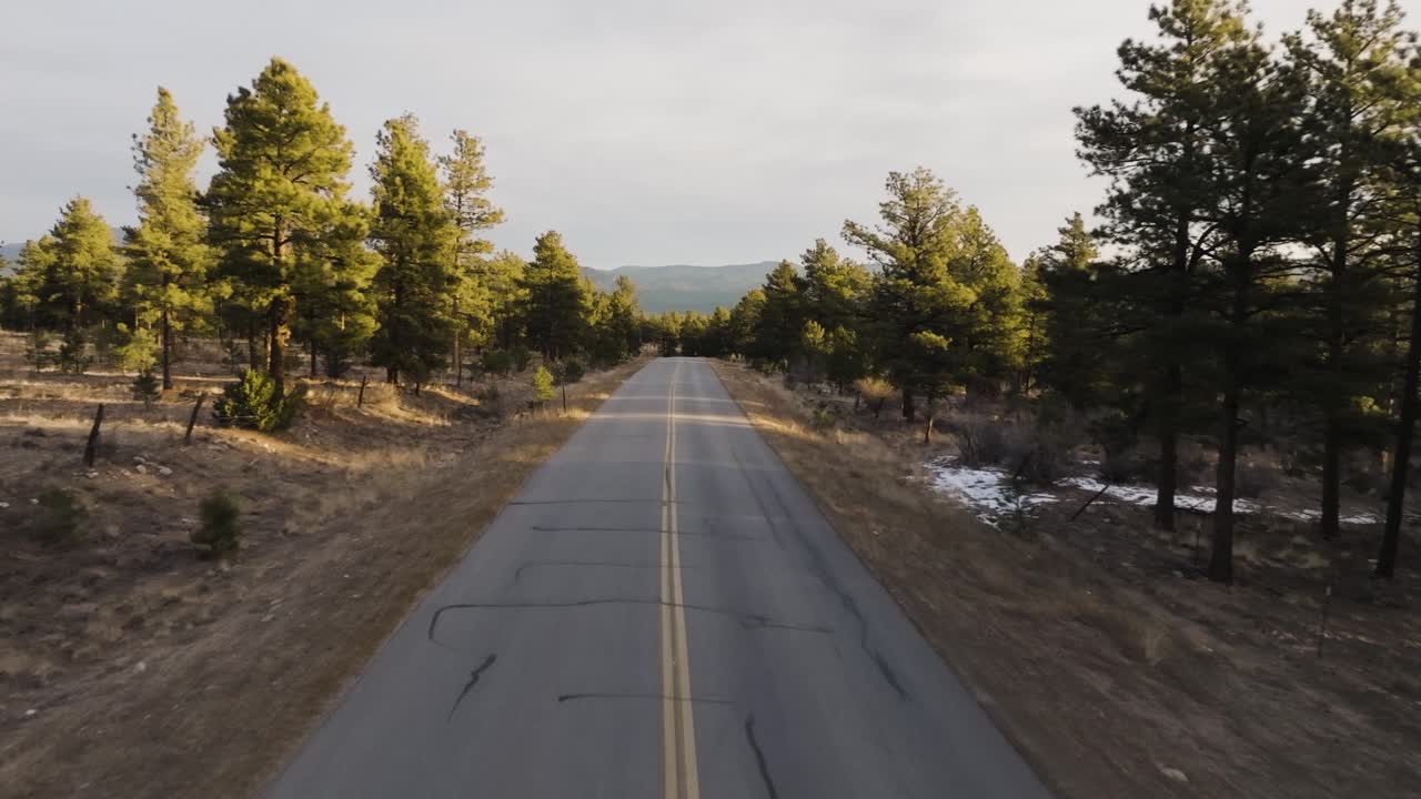 Drone che sorvola il centro di una strada vuota nelle Montagne Rocciose in Colorado, con pini su entrambi i lati