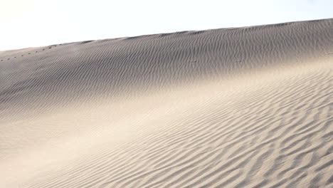 toma panorámica en cámara ultra lenta de patrones de arena en dunas de arena planas de mezquite en el parque nacional del valle de la muerte