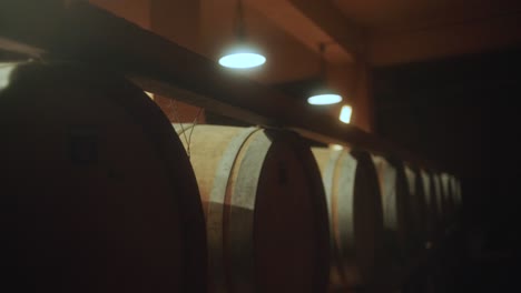 mid shot of wooden barrels in distillery