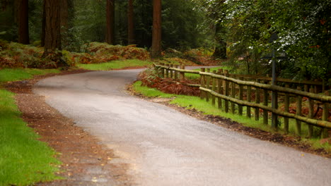 wide shot of a new forest single track road with wooden fencing to right of frame