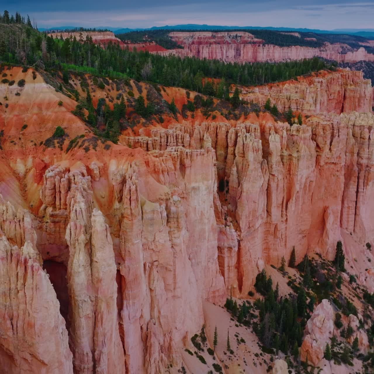 Fascinating coral rocks of Bruce Canyon National Park in Utah, USA. Pine trees growing on top of the mountains