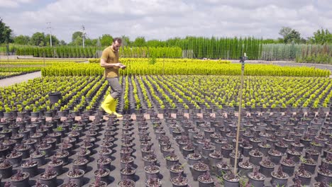 gardener working in a greenhouse. agriculture and horticulture