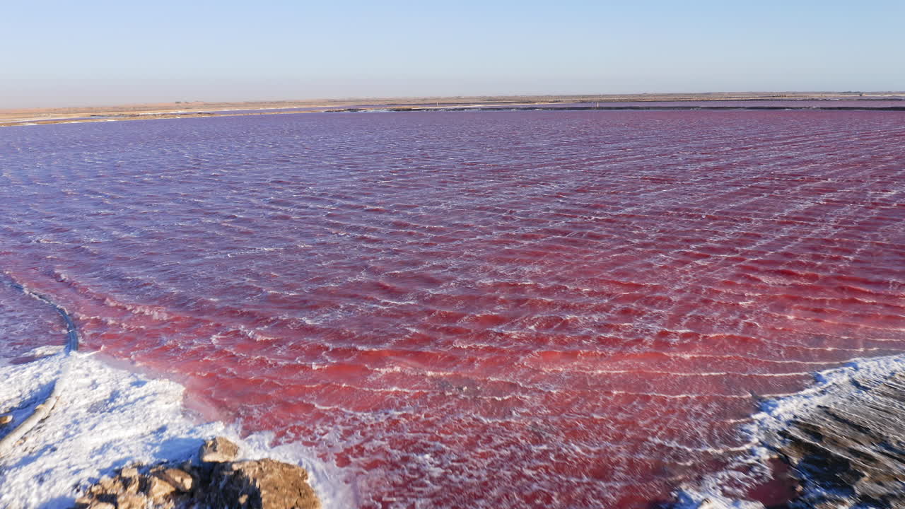 Low drone shot flying just above a vibrant pink salt lake in Namibia, with small waves rippling across the water. Walvis bay
