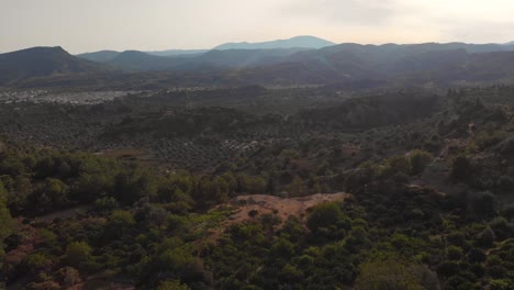 aerial: mediterranean landscape with olive trees and mountains on rhodes island