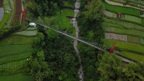 Vista-Aérea-De-Drones-Del-Puente-Colgante,-Valle-Y-Río-Con-Cascadas