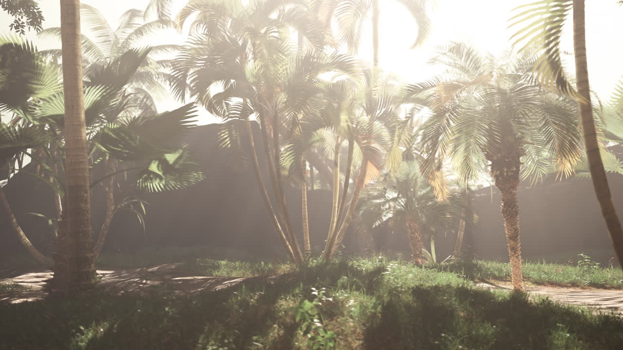 un paraíso tropical: una selva exuberante con palmeras y rayos de sol