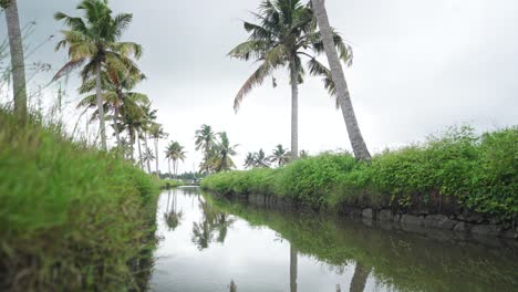 a canal flows through the middle of coconut groves filled with rain , rain due to climate change , the canal is covered with grass on both sides, water supply in the asian continent